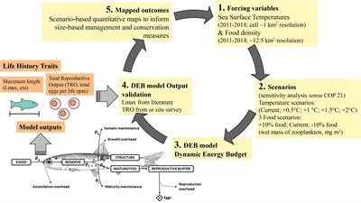 Moving Toward a Strategy for Addressing Climate Displacement of Marine Resources: A Proof-of-Concept